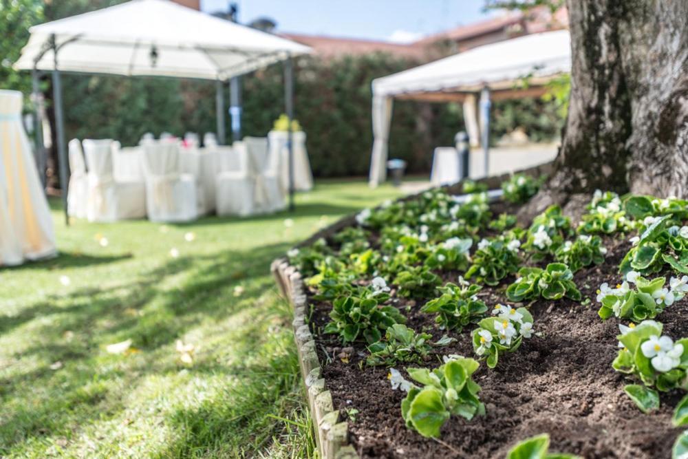 Hotel Il Vigneto Gattinara Eksteriør billede